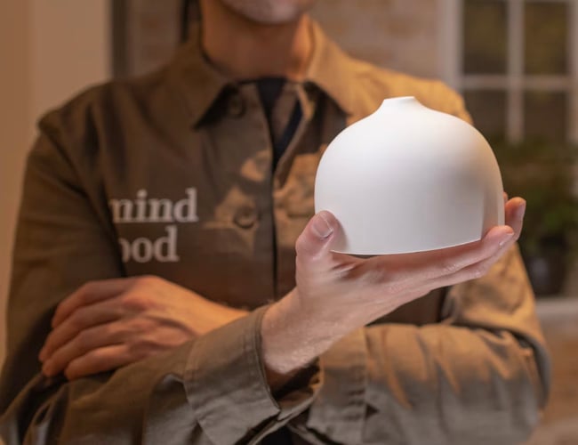 BOTANICAL HOME SCENT: Unikt produkt med gennemført Visuelt Brand - Webshoppen omsatte i 2022: 360.000,- kr.