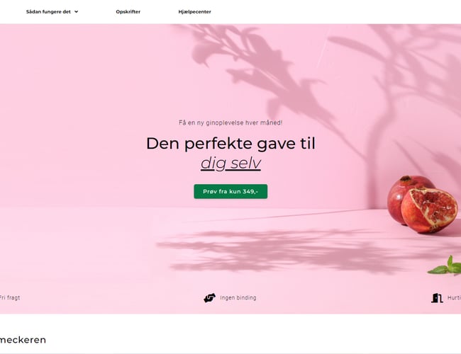 Gin-Abonnements forretning klar til at lancere