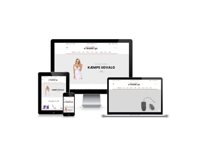 Webshop med salg af over 2200 forskellige erotiske artikler - omsætning på ca. 84.000 kr. i 2019