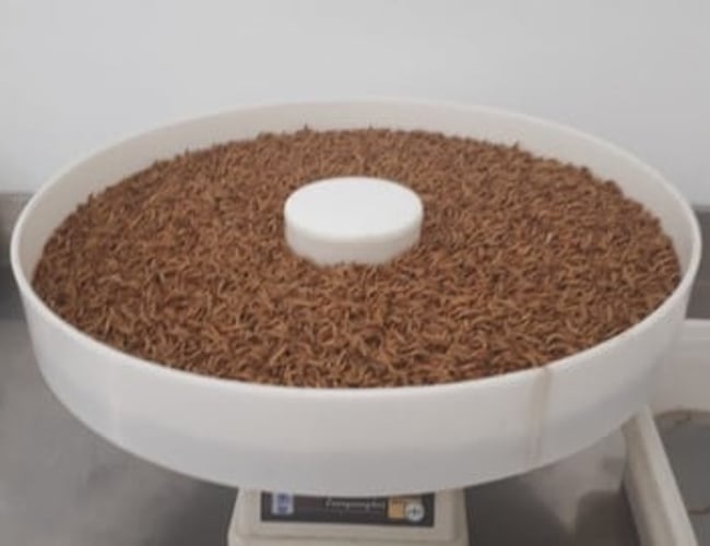 Heimdal Entofarm ApS