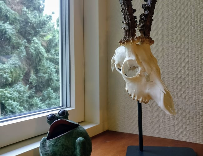 Veletableret niche webshop med Jagtudstyr - omsætning 404 t. kr. med stor organisk salg.