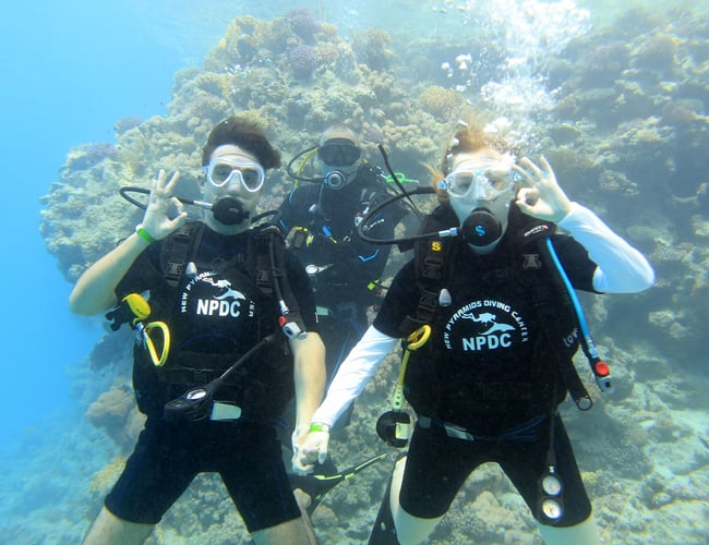 nauticmarine.dk - Unikt beliggende dykkercenter med stort kundegrundlag i Greve