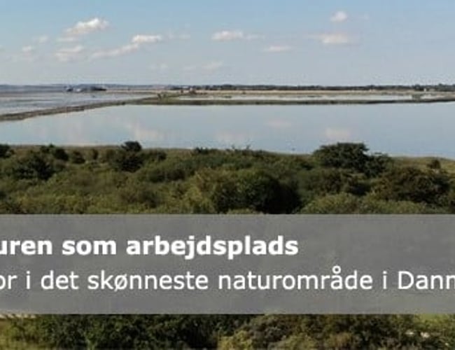 Privat botilbud til salg