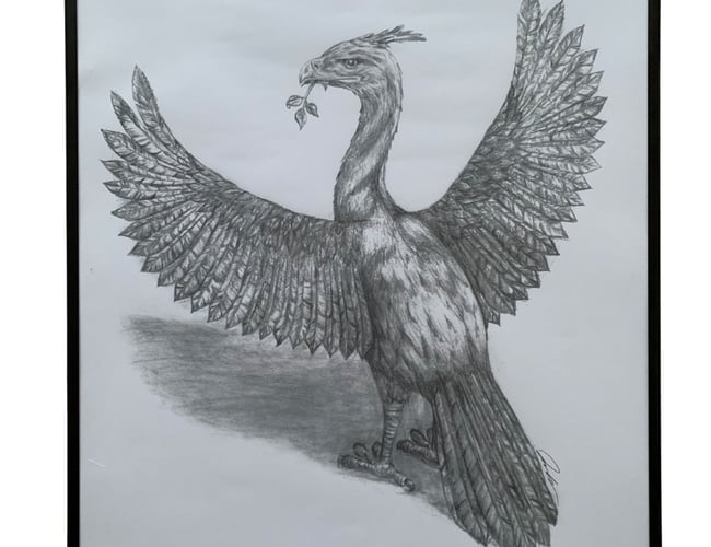 Liverpool Webshop der har bevist potentialet - Omsætning på knap en million