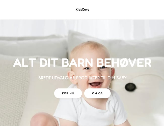 Spændende dropshipping webshop med salg af børneudstyr