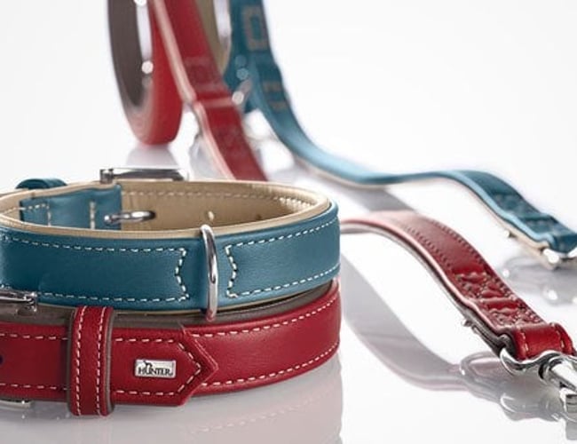 Markedets flotteste kæledyrswebshop