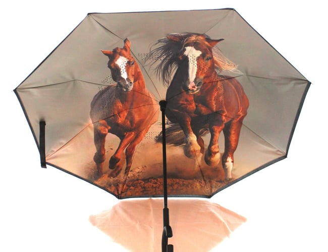 Pippifashion.dk - Webshop med farverige paraplyer - Omsætning i 2021 omkring 200.000 kr