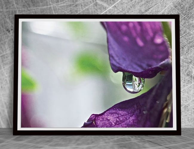 Partner søges til webshop (print on demand) med stor efterspørgsel