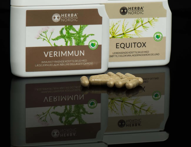 Medejere med it og digitale kompetencer/kapital til drift af webshop kosttilskud - Nordisk koncept