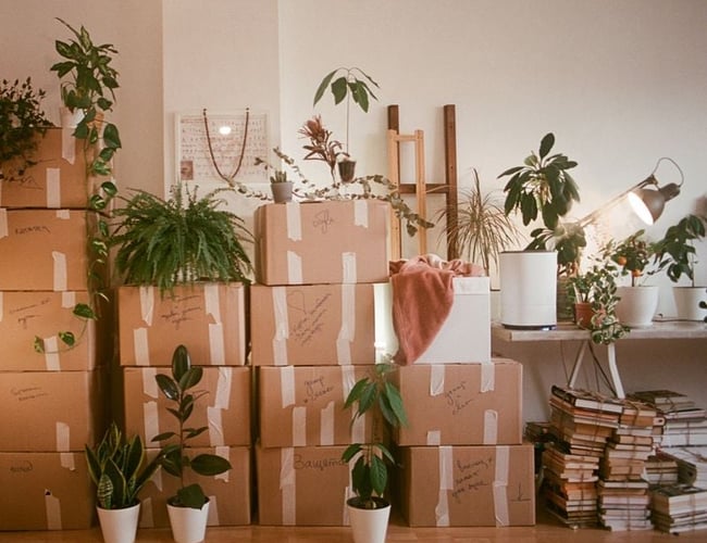 Lille Rengøringsfirma i Horsens og omegn.