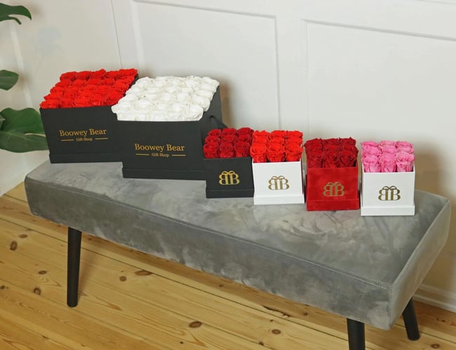 Boowey Bear Gift Shop - Webshop - Online gavebutik med spændende og anderledes gaver