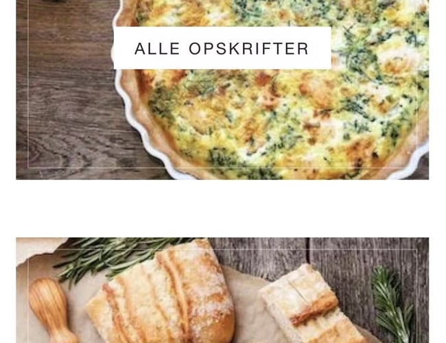 Madblog med 95.000 organiske besøg år til dato