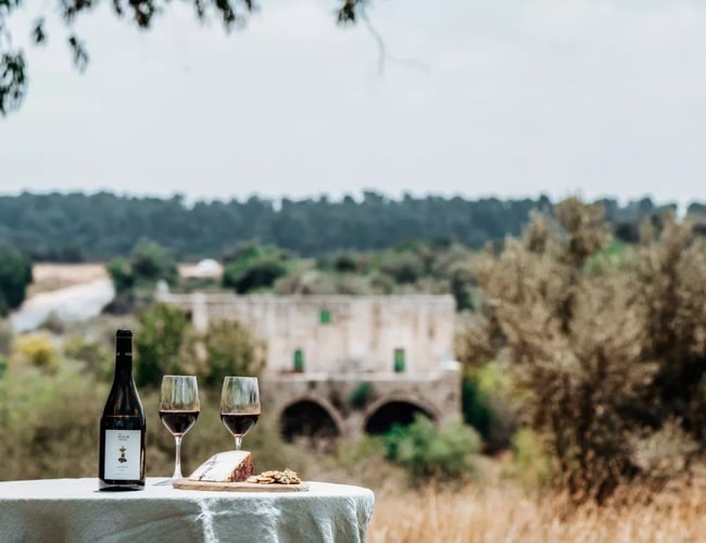 Online vin og deli butik til salg