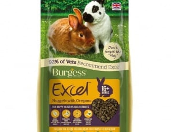 Krummekassen.dk - Webshop med dyretilbehør indenfor spændende, foder og snacks til kaniner og gnavere. - Shopify