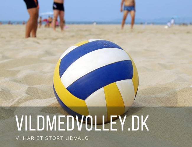 Danmarks førende volleyball-shop -  suveræn SEO & omsætning på + 500.000 kr./år.