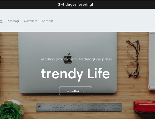 Professionel dropshipping webshop - udviklet af E-com+