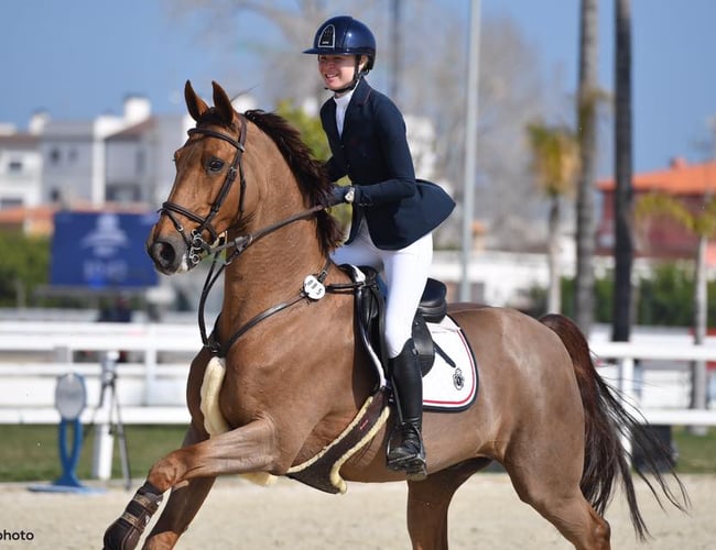 Prohorse.dk - Webshop med rideudstyr sælges - WooCommerce