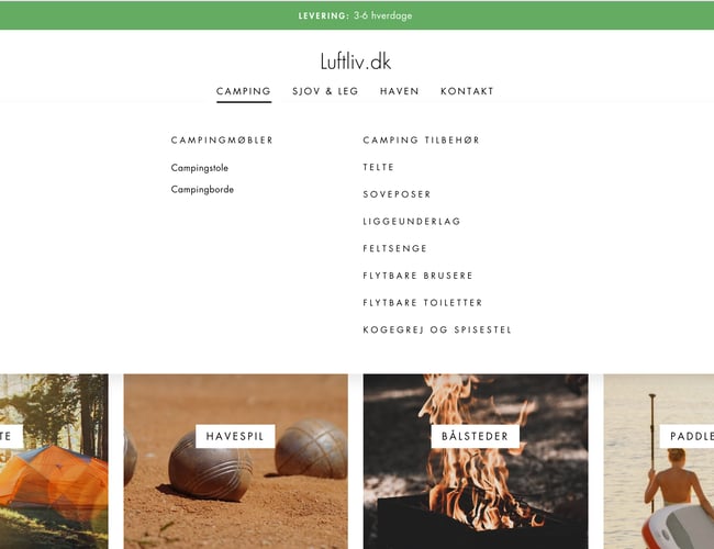 Dropship Webshop med omsætning.