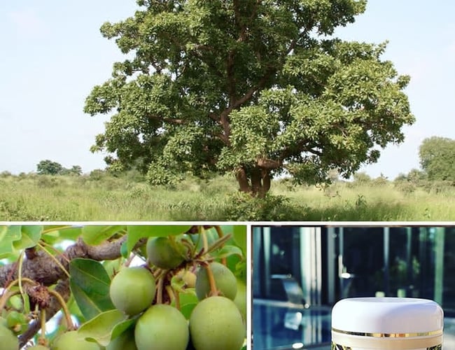 Webshop - Vegansk Naturkosmetik fra Namibia