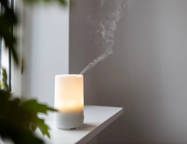 BOTANICAL HOME SCENT: Unikt produkt med gennemført Visuelt Brand - Webshoppen omsatte i 2022: 360.000,- kr.