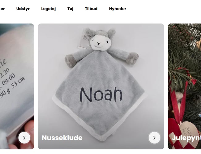 Veletableret og profitabel webshop til salg