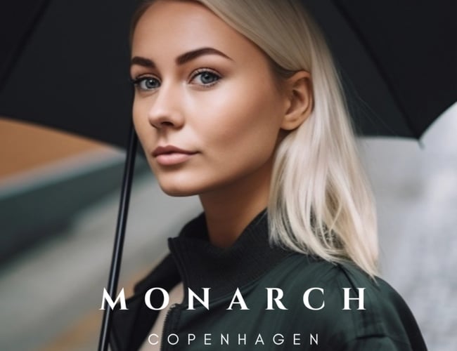 Luksuriøs paraplywebshop med stærkt brand sælges