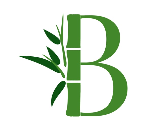 Bambii.dk sælger 2/3 af forretningen