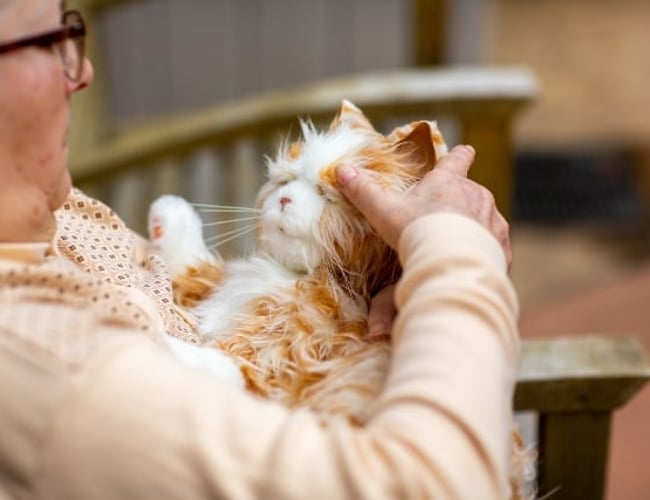 Nedsat pris - Tøjfirma, salg til plejecentre - En del faste kunder - Eksisteret over 20 år