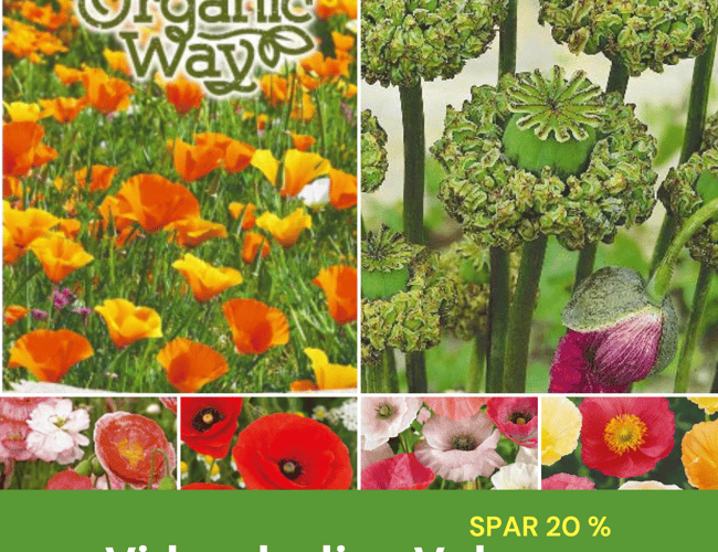 Webshop fra 2011 med stort kundekartotek