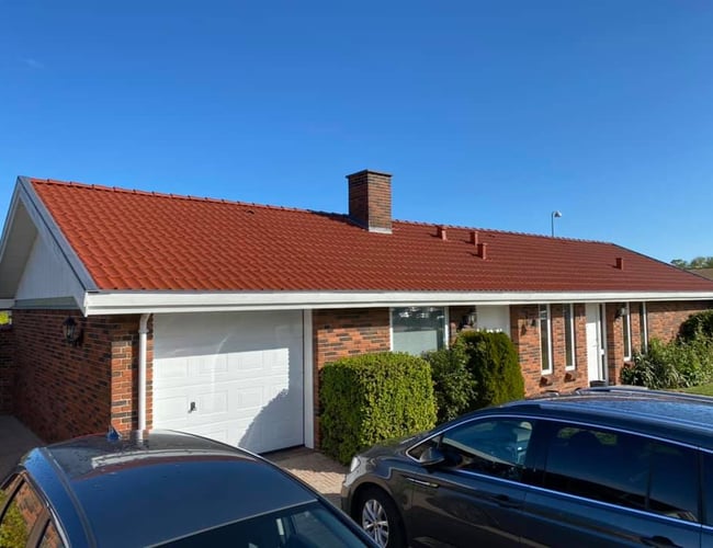 Danmarks førende tagrenser/tagmaler virksomhed - Overskud før skat 2.100.000 DKK