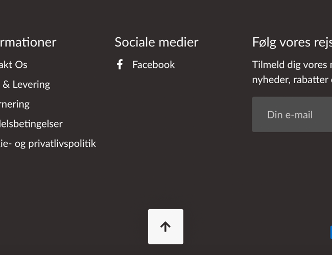 Dropshipping butik med omsætning