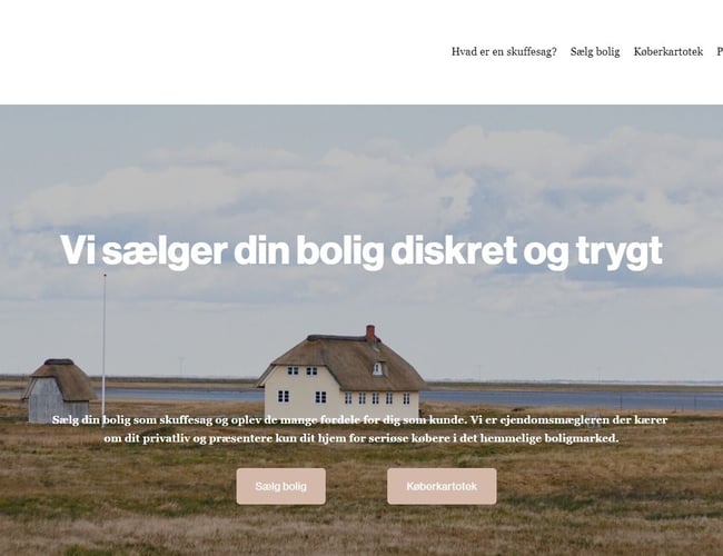 Partner eller investor søges til www.skuffesag.dk