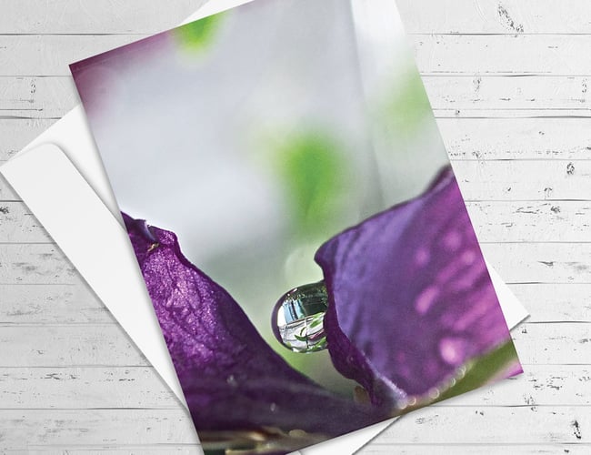 Partner søges til webshop (print on demand) med stor efterspørgsel