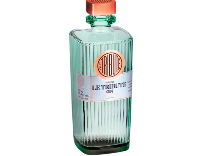 gins.dk - Webshop med gin med mulighed for dropshipping - Omsat for +40.000DKK maj måned 