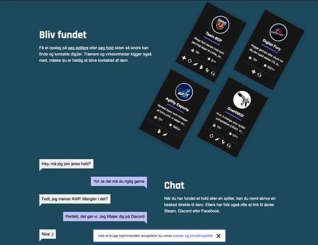 Esporthub.dk - Esport webportal til at finde hold og spillere