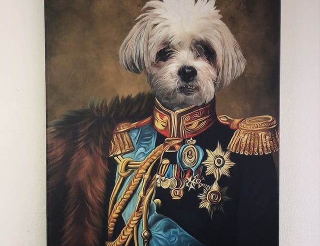 SJOVPLAKAT.DK til salg 