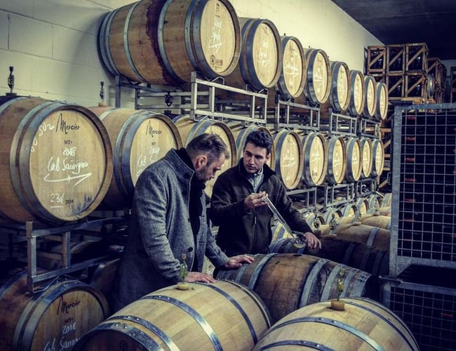 Webshop med salg af vin fra Tyskland - Omsætning: 576.943, Overskud: 92.456 kr. (før skat)