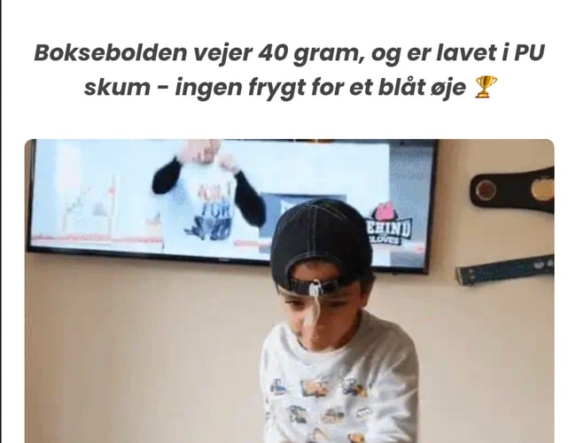 Boksebolden.dk (524.000 kr. i omsætning)