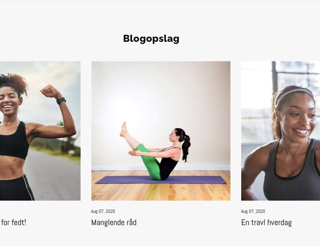 Køreklar dropshipping Webshop med alt klar til dig