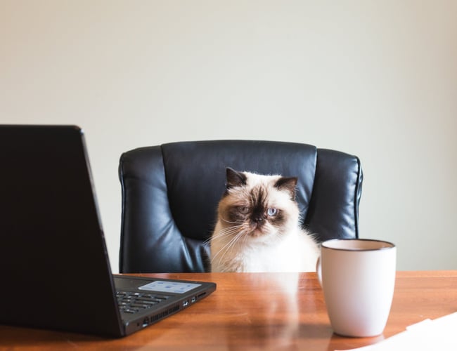 Dropshipping webshop med +40.000 forskellige varer