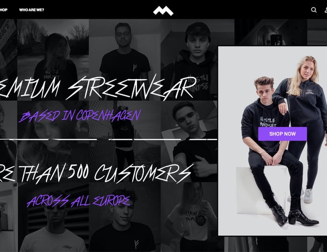 Tøjwebshop (dropshipping & lager) + mulighed for nye produkter