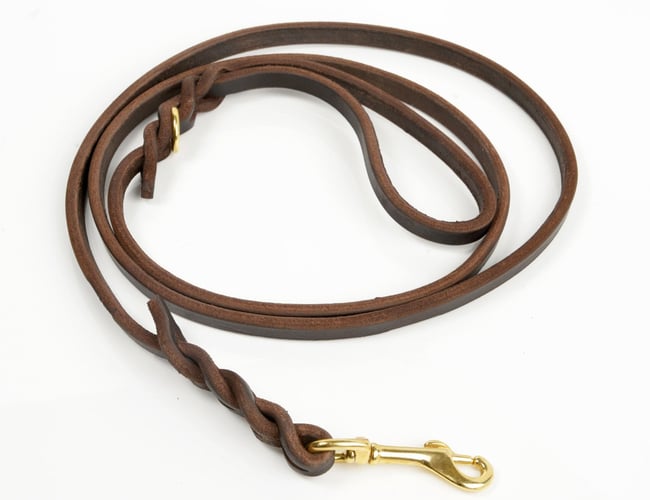 Kenjan.dk - Dansk kvalitets varemærke indenfor hundeudstyr - Overskud: 690.000 DKK - Dækningsbidrag: 1.1 mio kr