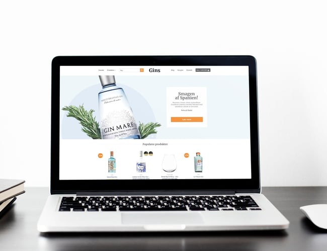 gins.dk - Webshop med gin med mulighed for dropshipping - Omsat for +40.000DKK maj måned 