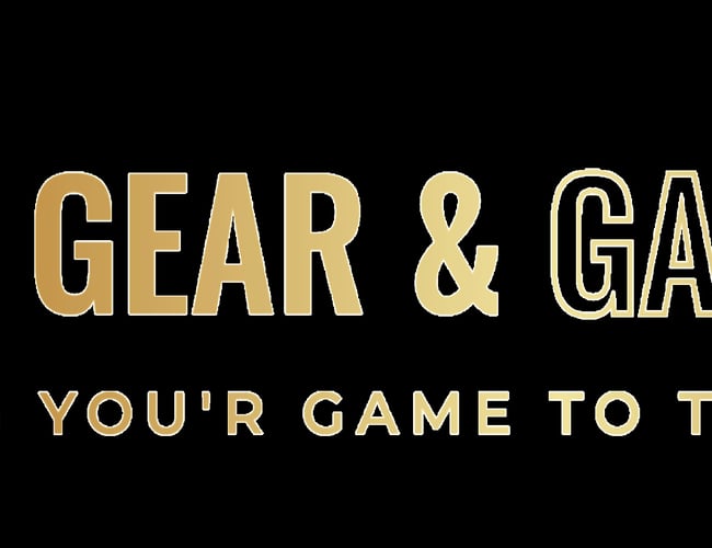 Gaming webshop med løbende ordre - 300.000 DKK. I omsætning de første 3 måneder 