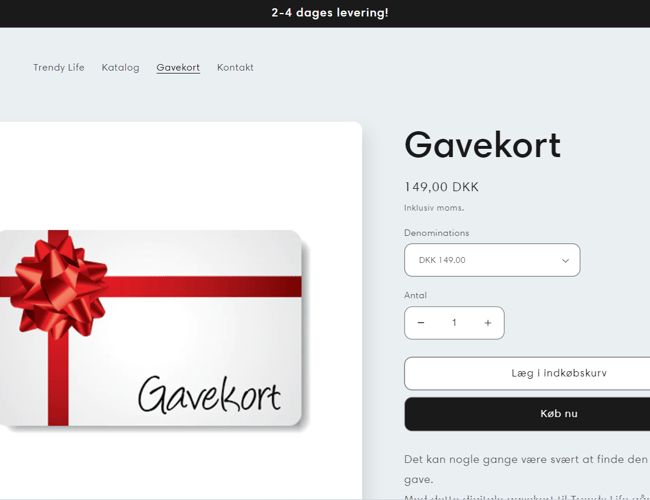 Professionel dropshipping webshop - udviklet af E-com+
