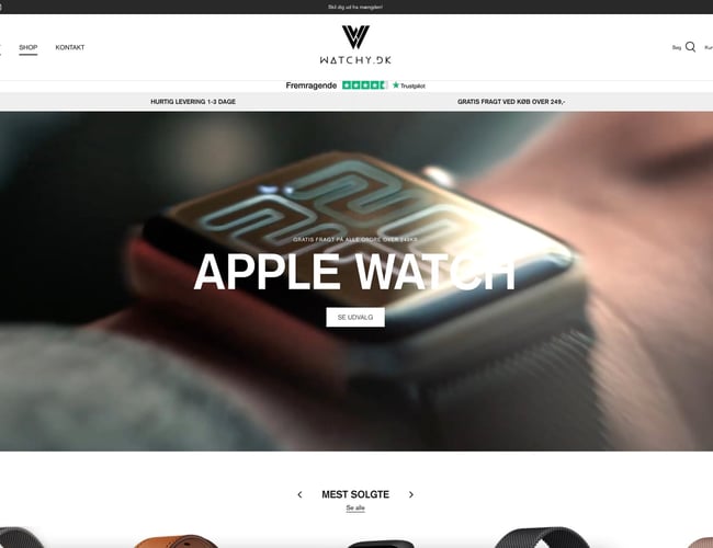 Webshop med omsætning på 466.838 kr - varelager inkl. i prisen