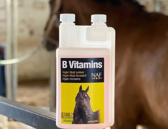 Kørende webshop til heste folk - 5.000 i overskud per måned.