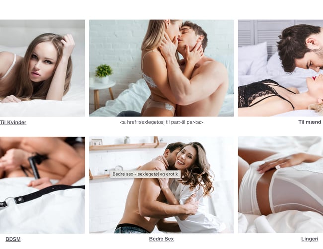 Erotik.dk – Enestående Forretningsmulighed!