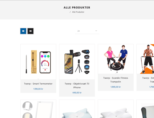 Dropshipping Webshop med 100 produkter 