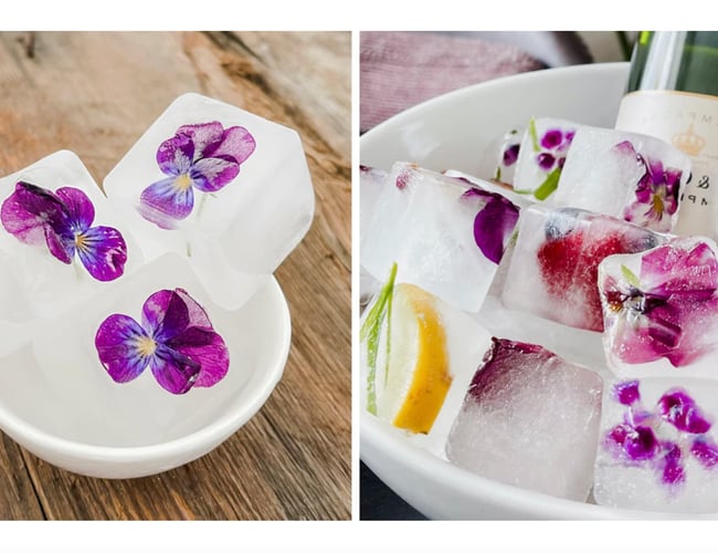 Webshop Nice Cubes - Isterninger med personlighed - til salg